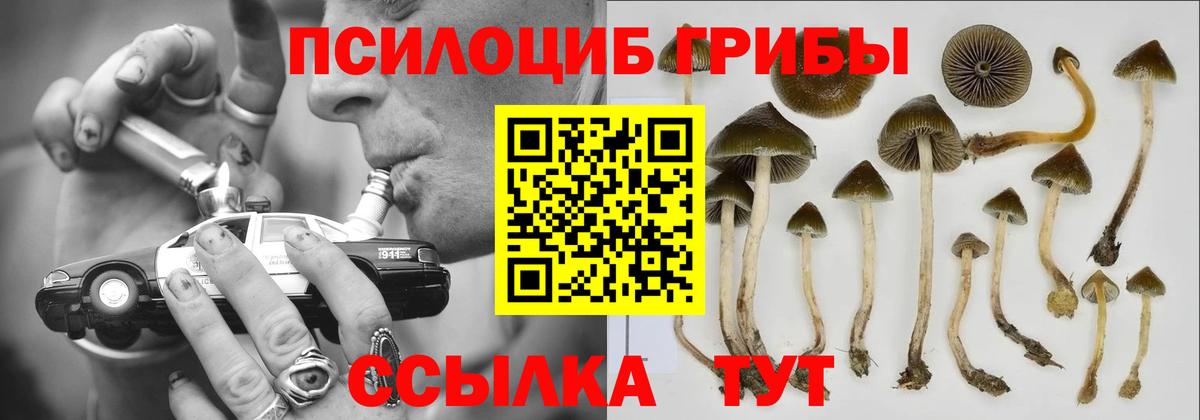 Галлюциногенные грибы мухоморы  Вход с VPN  Выборг  Псилоцибиновые грибы GOLDEN TEACHER 