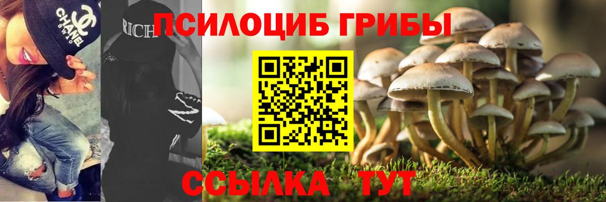 Псилоцибиновые грибы Magic Shrooms Выборг